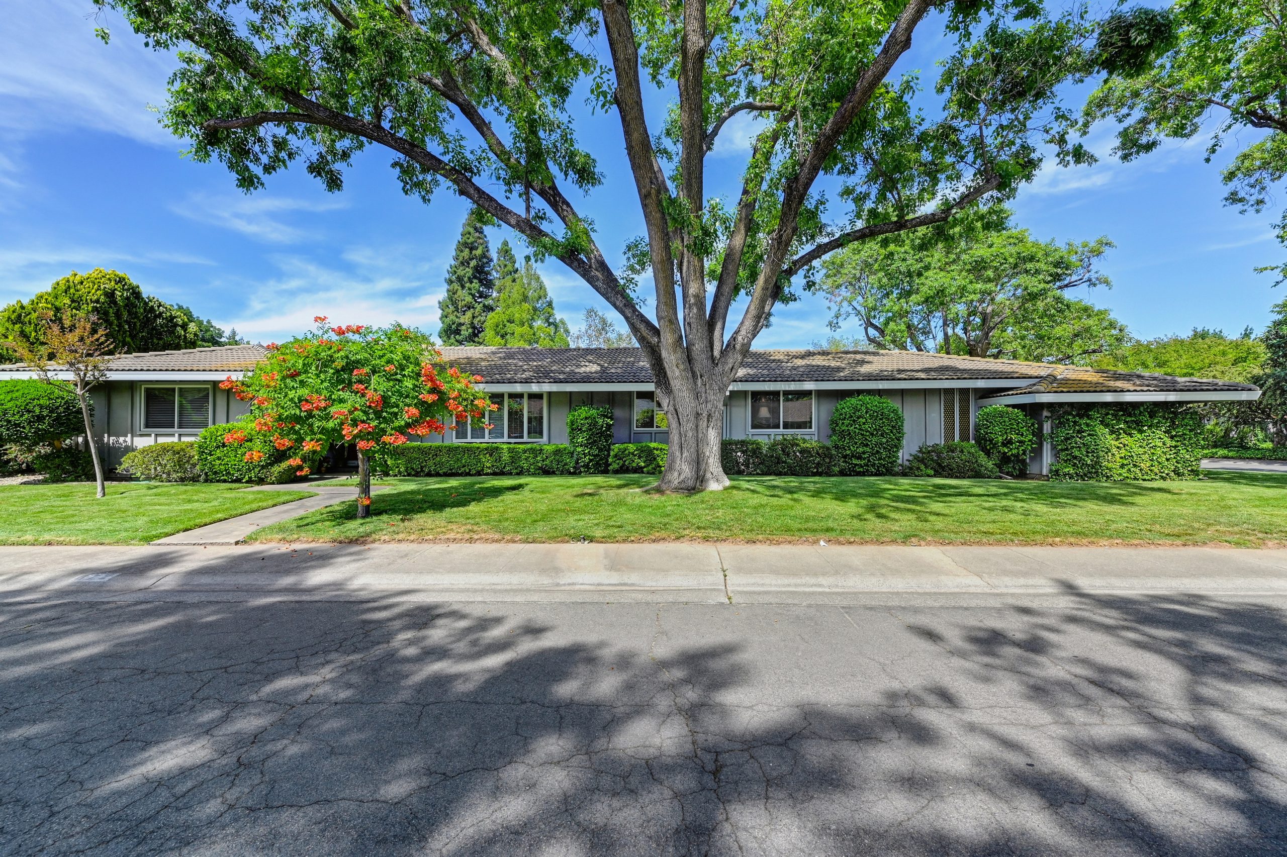 Carmichael High Res7